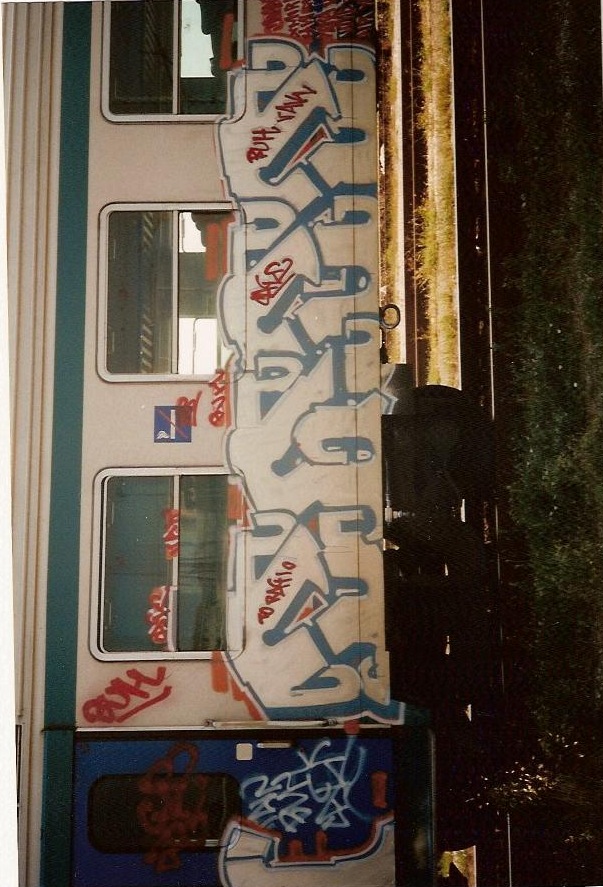 CAGE  TRENO